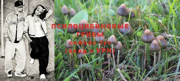 mix Абинск