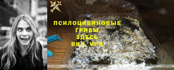 гидра Абдулино