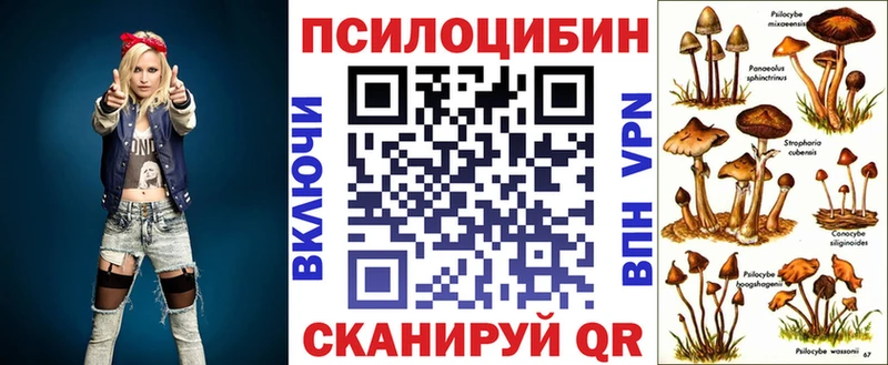 ссылка на мегу как зайти  где купить наркоту  Железноводск  Галлюциногенные грибы прущие грибы 